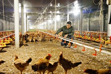 Hà Tĩnh: Cụ thể hoá chính sách giảm nghèo