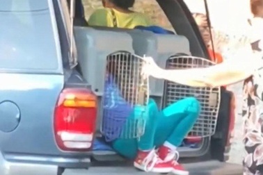 Bà nhốt 2 cháu trong cũi chó dưới cái nắng 35 độ C