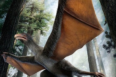 Phát hiện hóa thạch "khủng long dơi" tại Trung Quốc