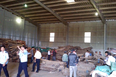 Không đủ yếu tố cấu thành tội buôn lậu trong vụ lô hàng gỗ ở cảng Tiên Sa