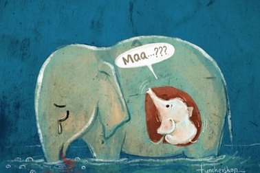 Cộng đồng mạng quốc tế xót xa trước bộ tranh kể về bi kịch của voi mẹ