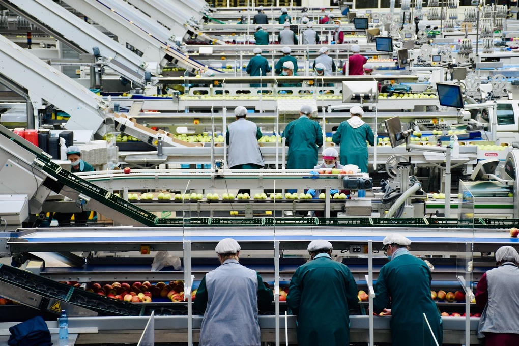 Nghe AI mỗi sáng, bí mật vượt bão của các giám đốc cung ứng thời đại mới - 1 Nghe AI mỗi sáng, bí mật vượt bão của các giám đốc cung ứng thời đại mới - 1