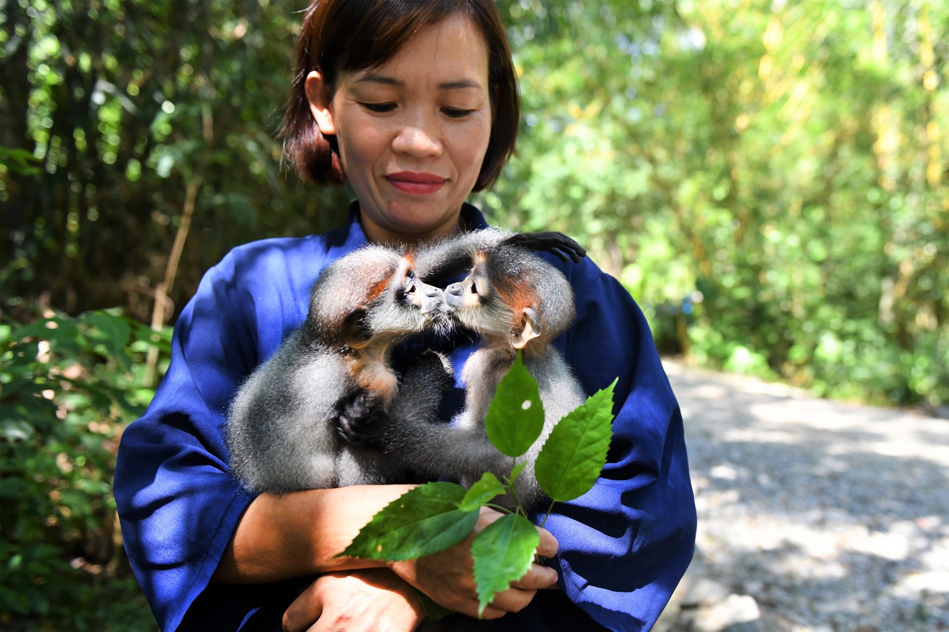 Nữ hoàng linh trưởng trong trung tâm cứu hộ lớn nhất Việt Nam - 14