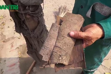 Hà Nội: Hàng chục cây chết khô trên đường Phạm Hùng, Khuất Duy Tiến