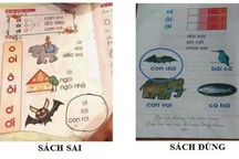 Phụ huynh nói gì về chương trình Công nghệ Giáo dục của GS Hồ Ngọc Đại?