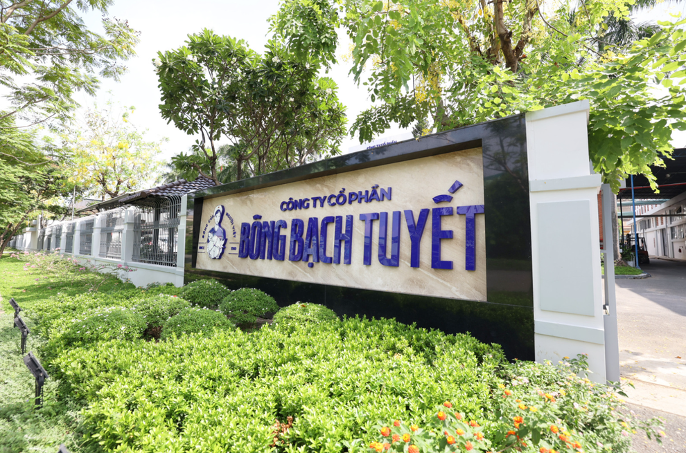 Bông Bạch Tuyết hồi sinh - 1 Bông Bạch Tuyết hồi sinh - 1