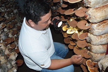 Cần Thơ: Chàng kỹ sư điện và những sản phẩm nông nghiệp “độc, lạ”