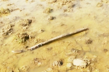 Vụ 2 chú cháu tử vong vì tranh chấp đất: Không khởi tố vụ án