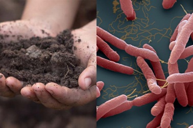 3 chị em ruột trong một nhà tử vong: Các bé đều khởi phát với dấu hiệu sốt