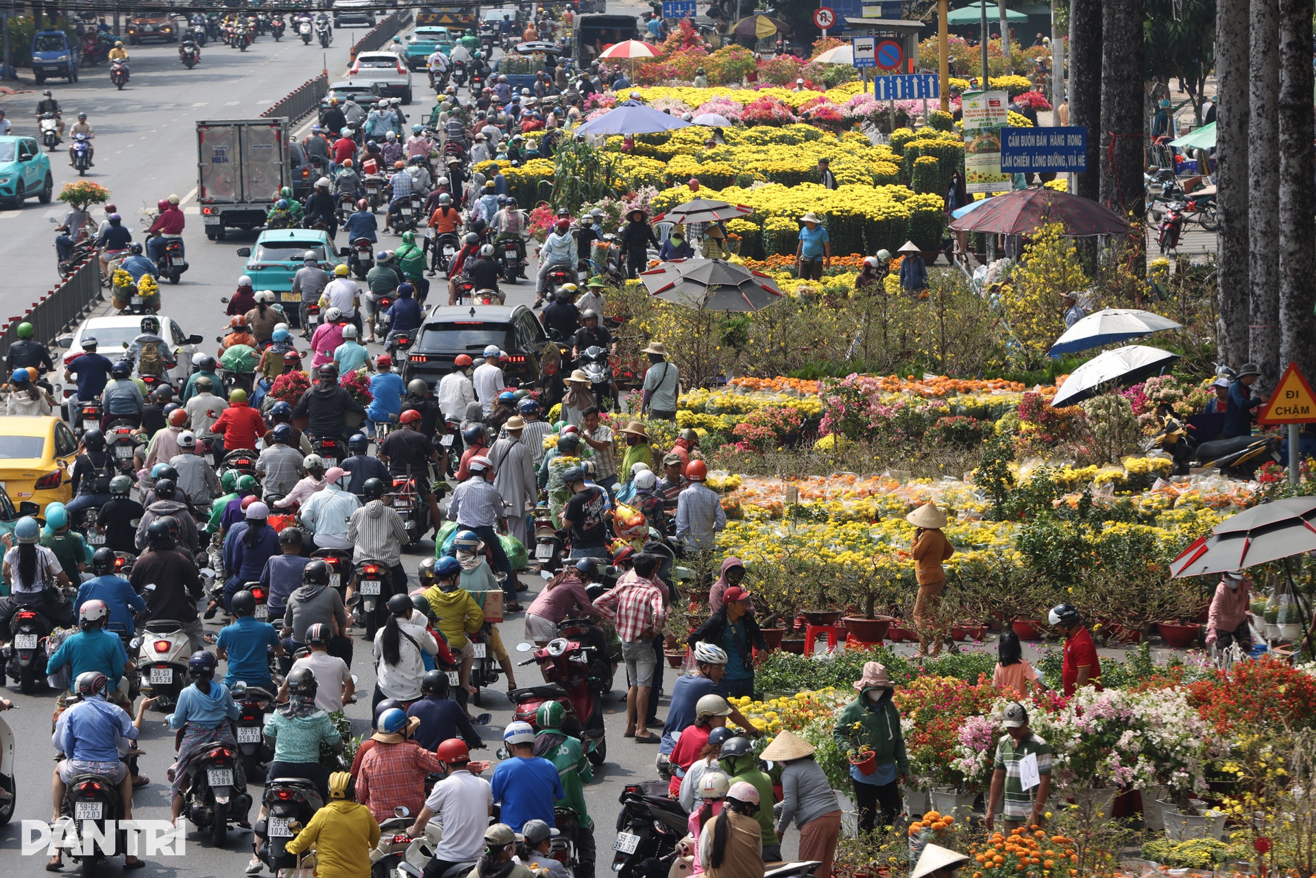 Tiểu thương ở TPHCM đập hoa, bán tháo chiều 29 Tết - 1 Tiểu thương ở TPHCM đập hoa, bán tháo chiều 29 Tết - 1