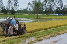 Làm ăn mùa nước nổi: Thất thu vì lũ nhỏ!