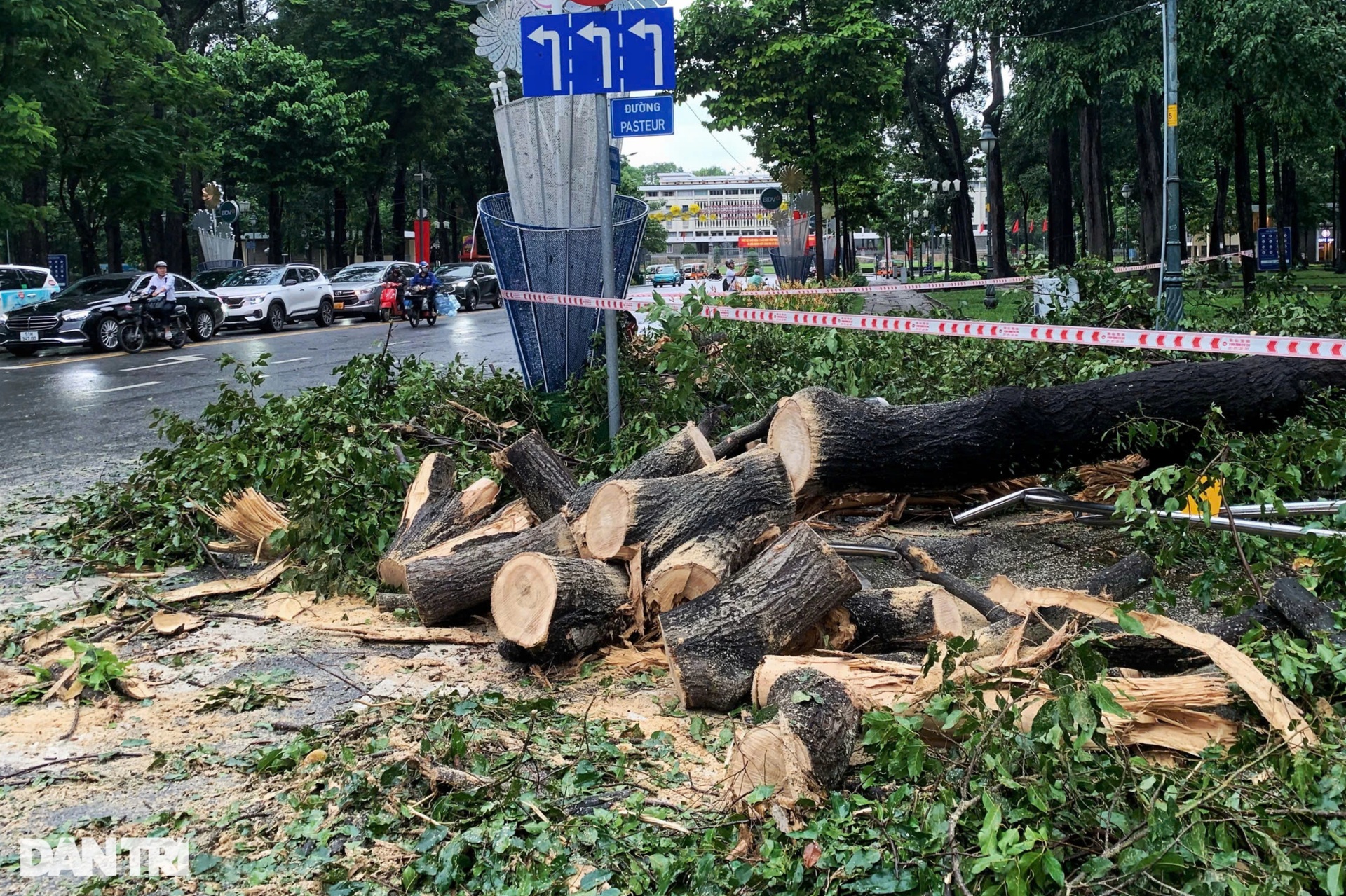 Mưa lớn giật đổ nhiều cây cổ thụ, cột điện, mái hiên ở TPHCM và Bình Dương - 9 Mưa lớn giật đổ nhiều cây cổ thụ, cột điện, mái hiên ở TPHCM và Bình Dương - 9