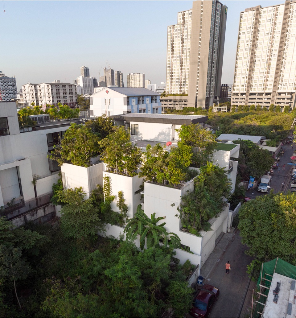 Độc đáo nhà trồng hơn 100 loại cây xanh, vào bên trong như rừng nhiệt đới - 6