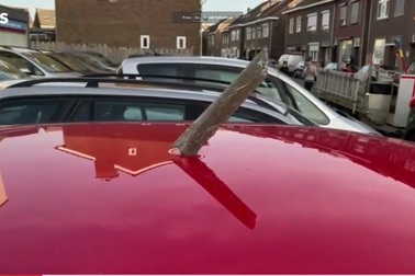 Hà Lan: Máy bay cháy động cơ trên không, mảnh vỡ xuyên thủng xe hơi