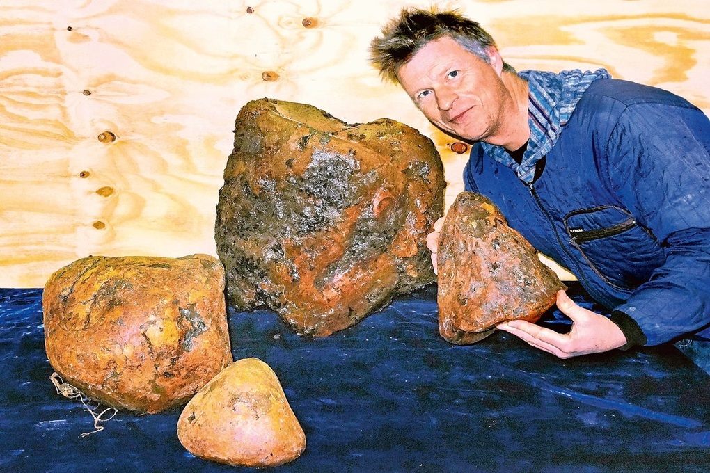 Long diên hương là gì mà nhiều người truy tìm? - 2