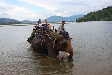 Về Hồ Lắk câu cá, cưỡi voi