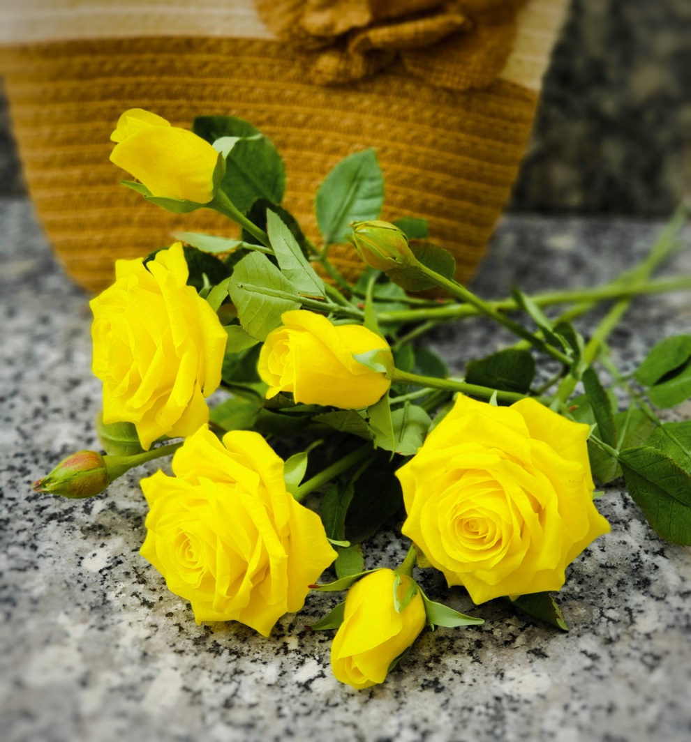 Người phụ nữ ở TPHCM làm hoa đất sét sống động như thật - 2 Người phụ nữ ở TPHCM làm hoa đất sét sống động như thật - 2