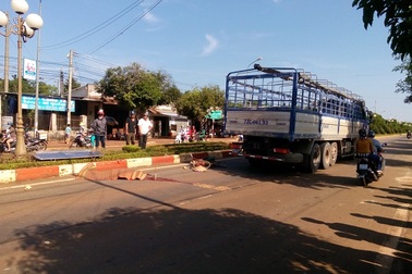 Người phụ nữ mua ve chai đi ngược chiều, bị xe tải cán chết