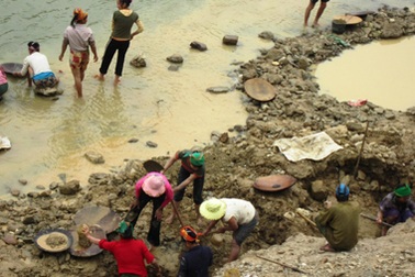 Đua nhau đi đào đãi vàng kiếm tiền... tiêu Tết