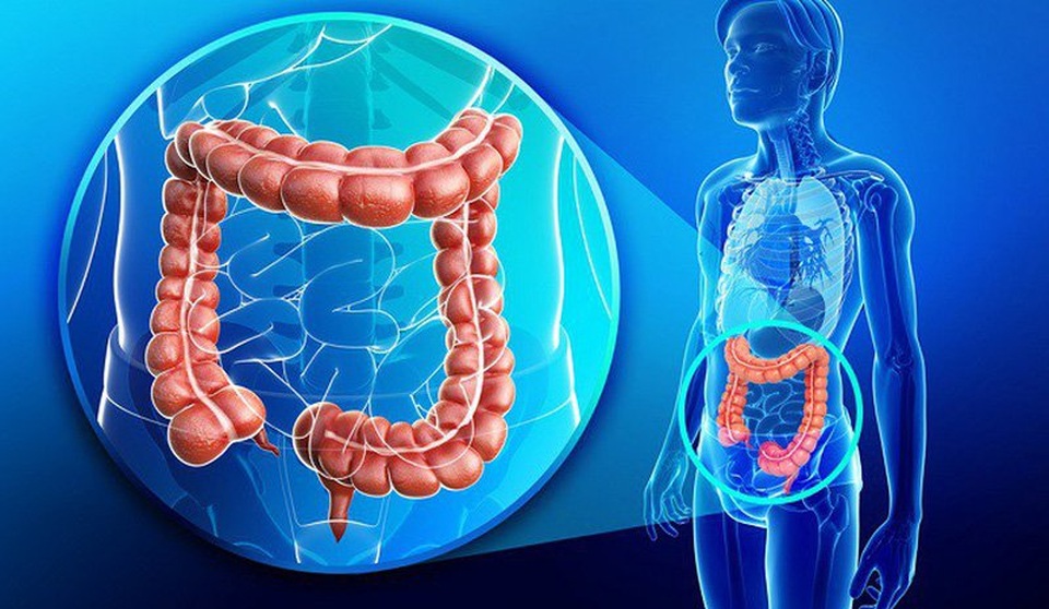 Cảnh báo: Ngại đi khám sẽ không phát hiện sớm được ung thư đại trực tràng - 2 Cảnh báo: Ngại đi khám sẽ không phát hiện sớm được ung thư đại trực tràng - 2