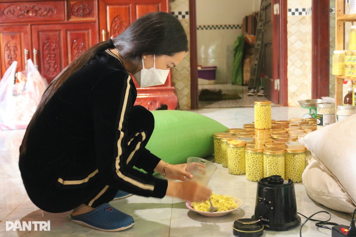 Nữ nông dân chặt cà phê, trồng nghệ, thu hàng trăm triệu mỗi năm - 1 Nữ nông dân chặt cà phê, trồng nghệ, thu hàng trăm triệu mỗi năm - 1