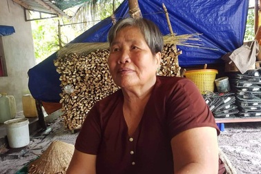 Tình tiết khôi hài trong vụ cấp sổ đỏ hơn 11.000m2 "đất vàng" tại Phú Quốc!