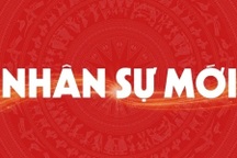 Thủ tướng bổ nhiệm thêm một Phó Chủ nhiệm Văn phòng Chính phủ