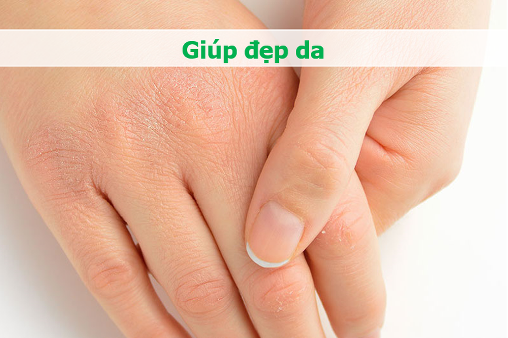 Phần hay bỏ đi khi ăn thịt gà lại đặc biệt tốt cho xương khớp, tim mạch - 2 Phần hay bỏ đi khi ăn thịt gà lại đặc biệt tốt cho xương khớp, tim mạch - 2