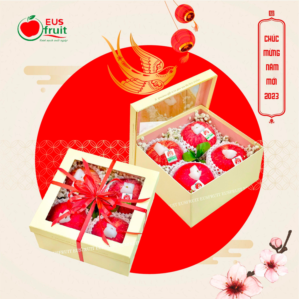 Hộp quà Tết Eus fruit trao gửi yêu thương - 4 Hộp quà Tết Eus fruit trao gửi yêu thương - 4