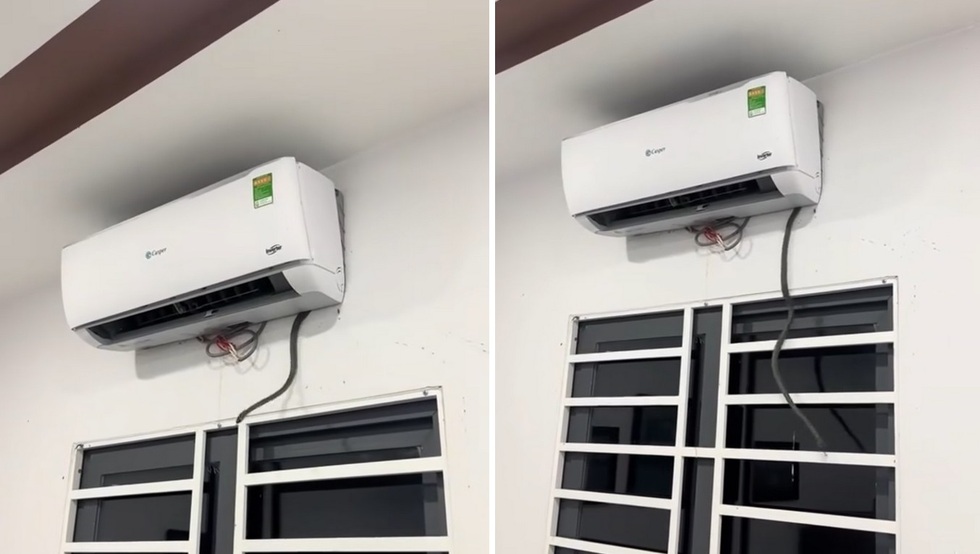Nổi bật tuần qua: Khoảnh khắc rắn thò đầu ra khỏi điều hòa và rơi xuống nhà