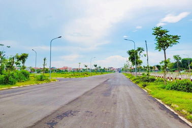 Đấu giá 86 thửa đất ở Mê Linh, giá khởi điểm dưới 21 triệu đồng/m2