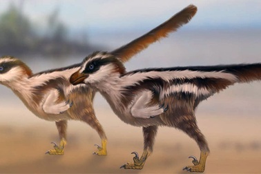 Phát hiện hoá thạch dấu chân khủng long “siêu nhỏ”