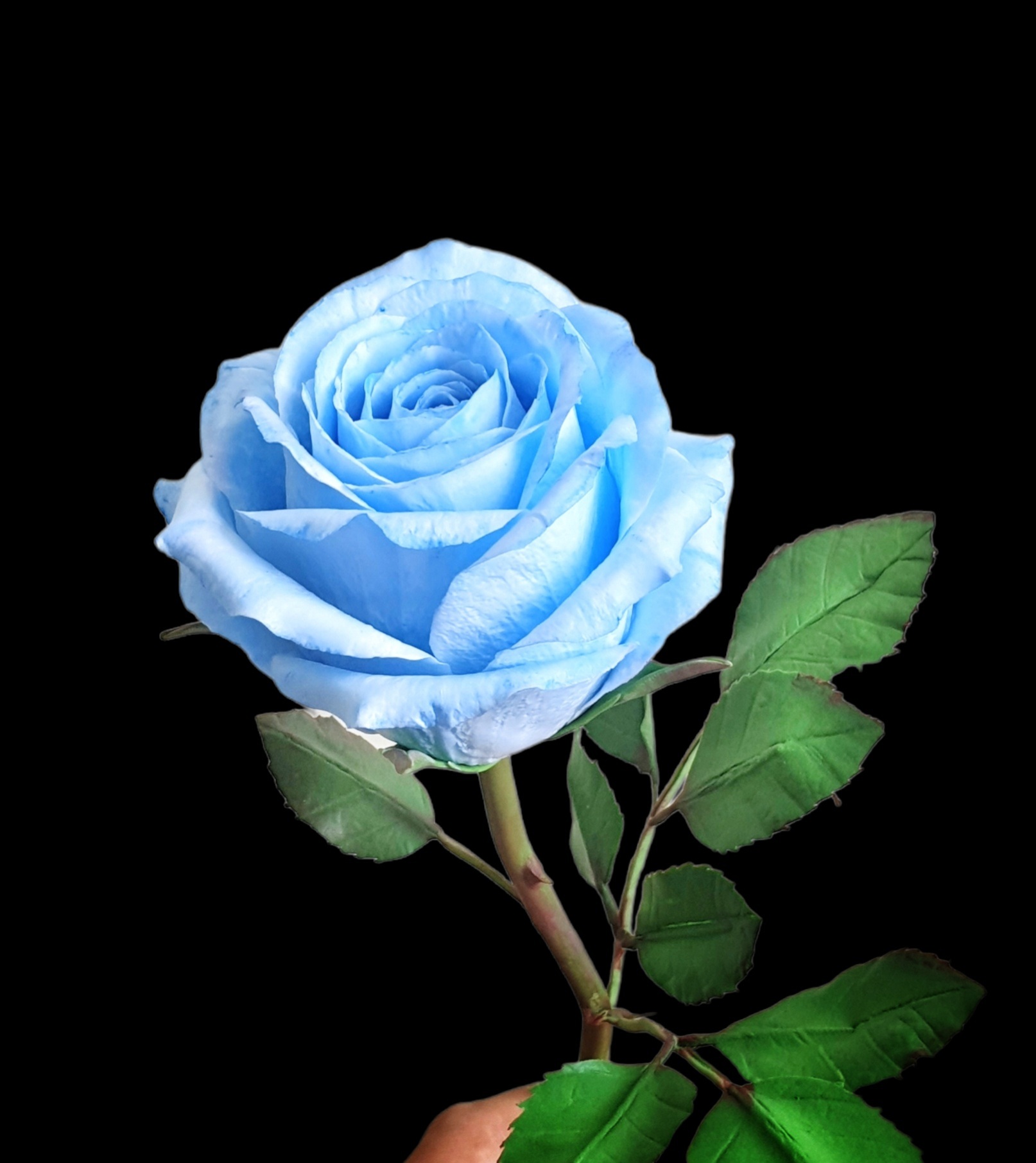 Người phụ nữ ở TPHCM làm hoa đất sét sống động như thật - 7