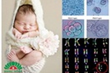 Điều trị vô sinh, làm IVF với BS Thái Lan