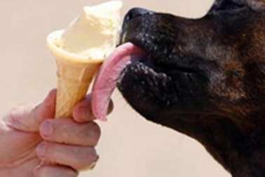 Chùm ảnh: Châu Âu đang biến thành vùng nhiệt đới