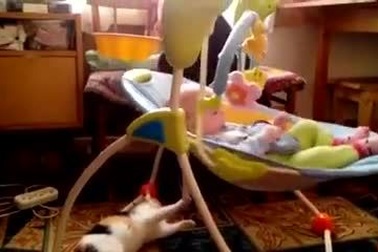 Mèo đưa nôi ru em bé ngủ