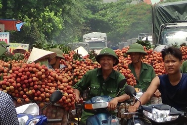 Giải cứu nông sản: Thí điểm cơ chế thúc đẩy qua Trung Quốc?