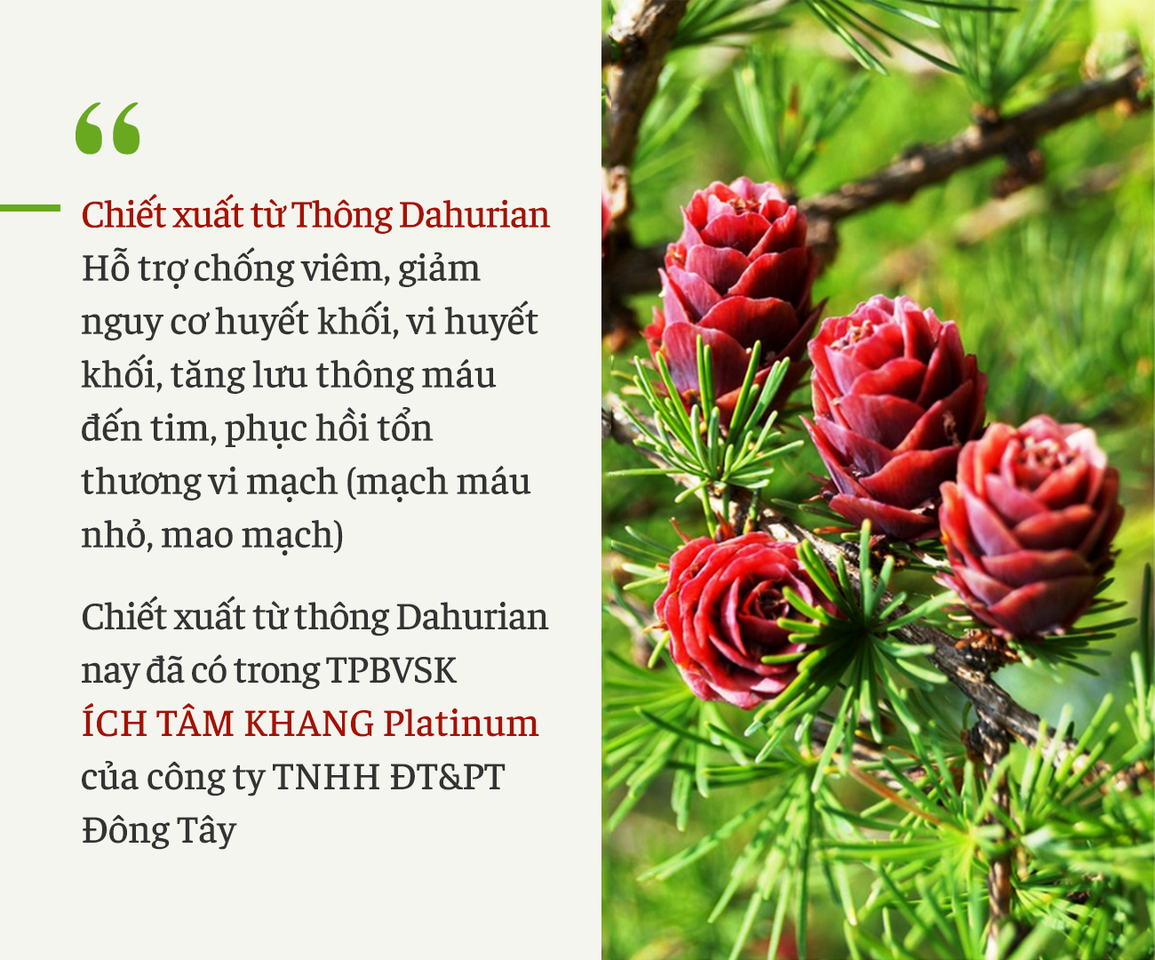 Những điều cần biết khi là F0 có bệnh tim mạch, đái tháo đường - 3 Những điều cần biết khi là F0 có bệnh tim mạch, đái tháo đường - 3