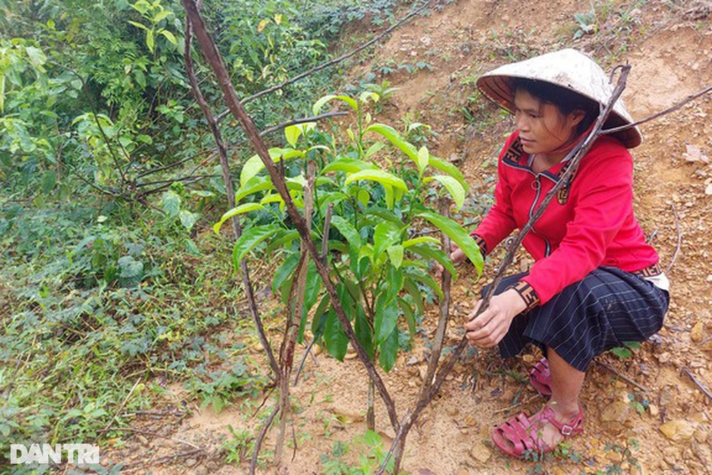 Bước chuyển mình nơi xã nghèo - 1 Bước chuyển mình nơi xã nghèo - 1