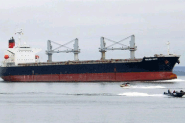 Một số vấn đề có thể đã xảy ra với tàu Vinalines Queen