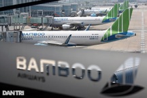 Ông Lê Thái Sâm sẽ nhận hơn 401 triệu cổ phần Bamboo Airways của FLC