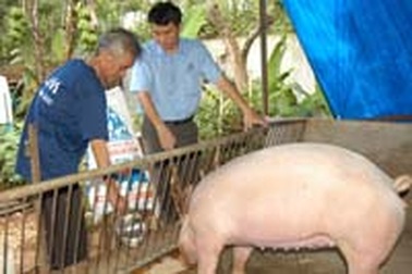 Trăn trở cùng nông dân nghèo