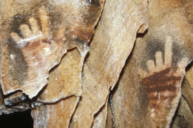 Tại sao dấu tay người tiền sử để lại thường thiếu ngón, thiếu đốt?