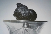 Chiêm bái xá lợi Trái tim Bồ tát Thích Quảng Đức từ ngày 3/5