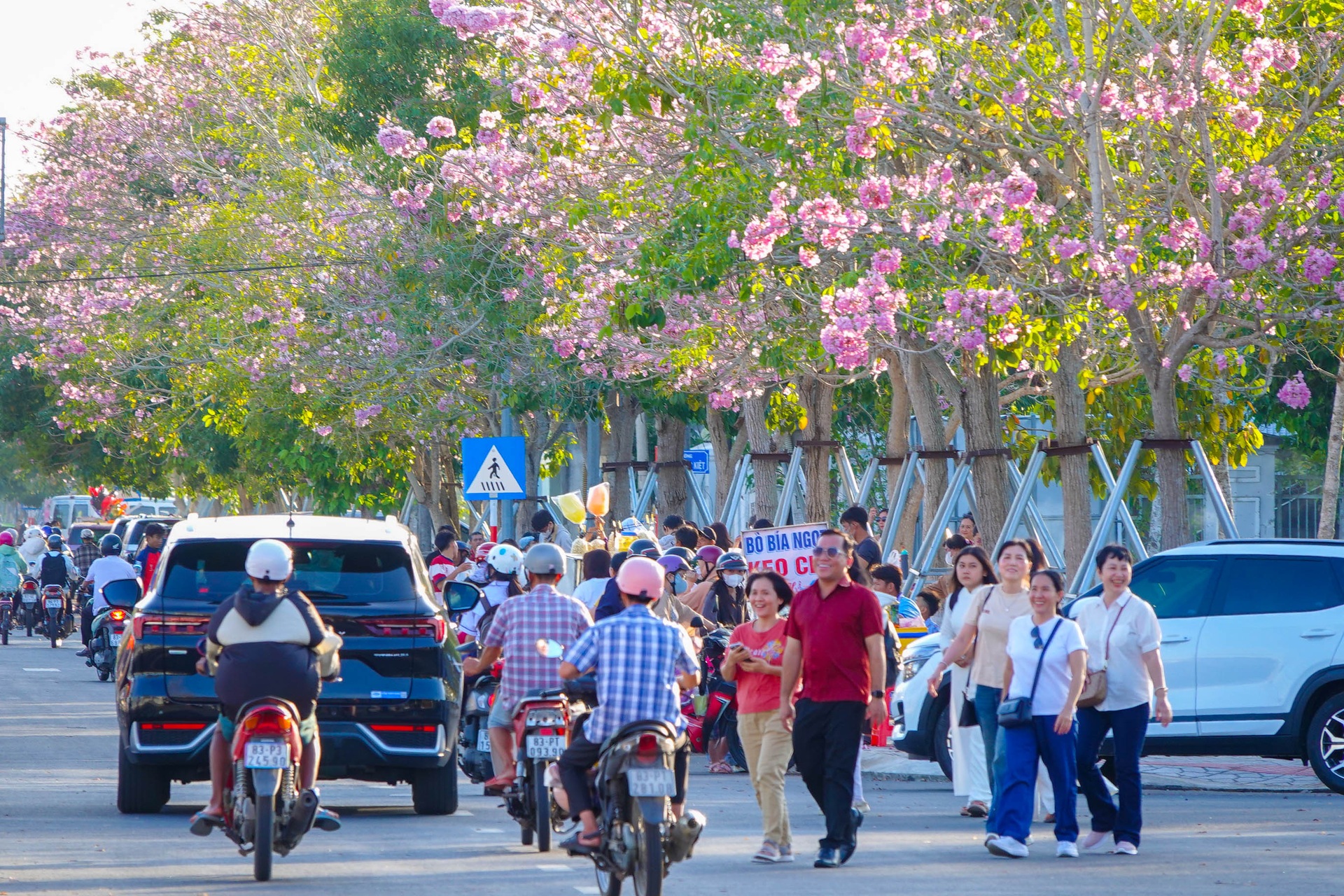 Con đường rực rỡ hoa anh đào ở miền Tây - 1 Con đường rực rỡ hoa anh đào ở miền Tây - 1