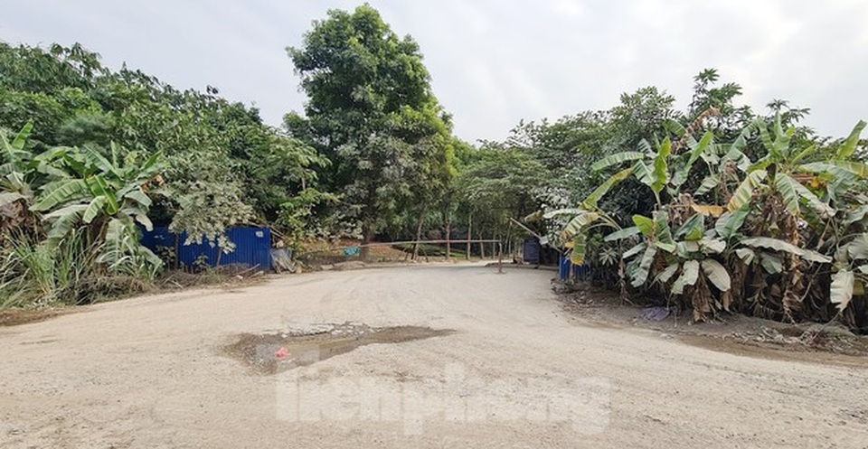 Biệt thự nuôi gà, trồng rau ngoại thành Hà Nội bất ngờ được thổi giá dựng ngược - 5 Biệt thự nuôi gà, trồng rau ngoại thành Hà Nội bất ngờ được thổi giá dựng ngược - 5