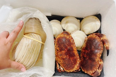 "Nhịn" ăn tiêu, chi hàng chục triệu đồng đau đầu chọn quà độc, lạ biếu sếp