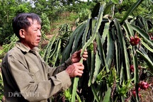 Làm giàu khác người: Một nghề thì sống, đống nghề...thành tỷ phú