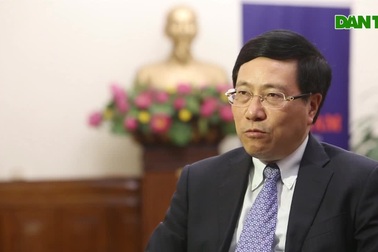 Phó Thủ tướng trả lời về sự kiện Việt Nam trúng cử Ủy viên không thường trực Hội đồng Bảo an Liên Hợp Quốc