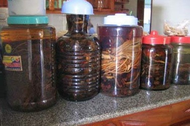 “Dược tửu” và những cú lừa ngoạn mục